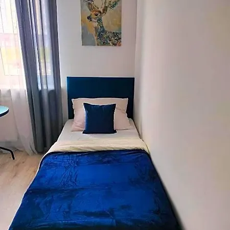 11 Kozienice